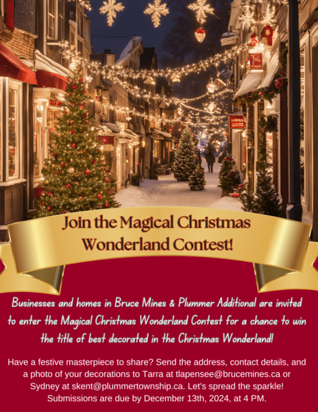 Magical Christmas Wonderland Contest 